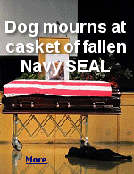 Labrador retriever Hawkeye lies down with a sigh at the funeral of his owner, Navy SEAL Jon Tumilson.